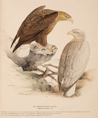Lot 55 - Meyer (Henry Leonard). Illustrations of British Birds, 4 volumes, London: Longman and Co, c.1835-44