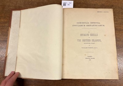 Lot 73 - Turton (William). Conchylia Dithyra Insularum Britannicarum, 1848