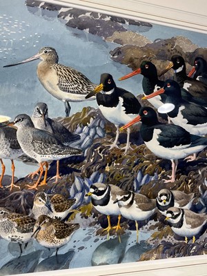 Lot 98 - Tunnicliffe (Charles Frederick, 1901-1979). At Low Tide