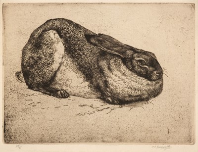 Lot 108 - Tunnicliffe (Charles Frederick, 1901-1979). The Sitting Hare, 1926, etching