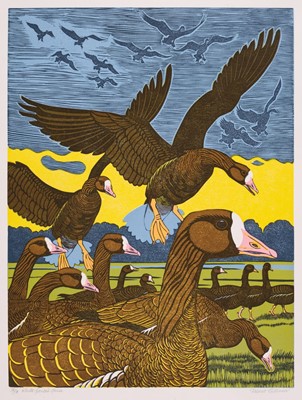 Lot 91 - Gillmor (Robert, 1936-2022). White-Fronted Geese