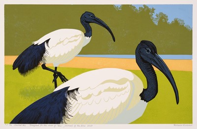 Lot 88 - Gillmor (Robert, 1936-2022). Sacred Ibis