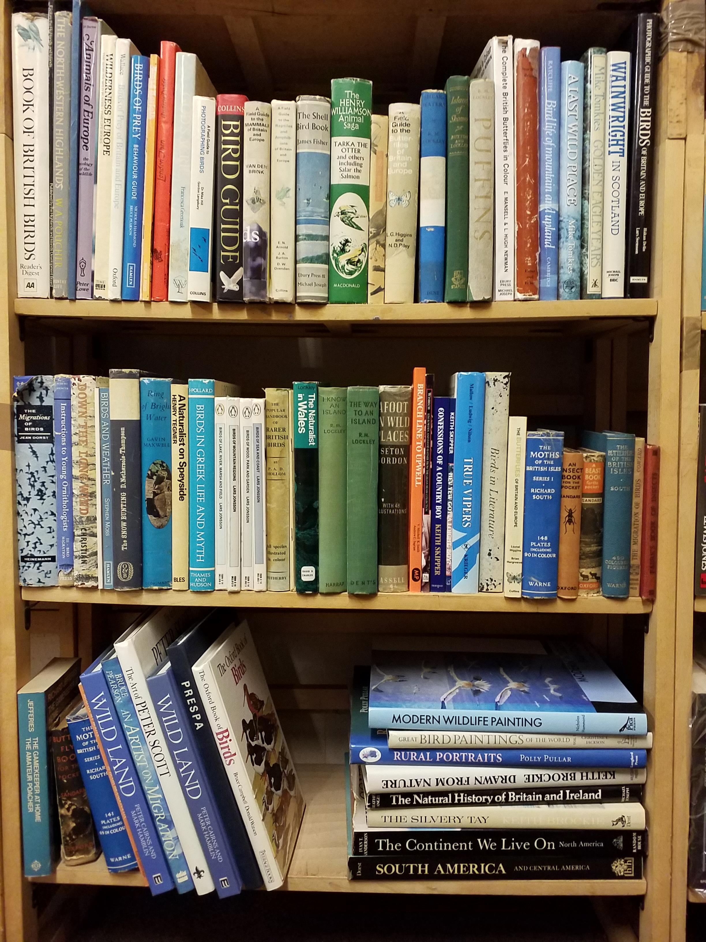 Lot 357 - Natural History. A large collection of