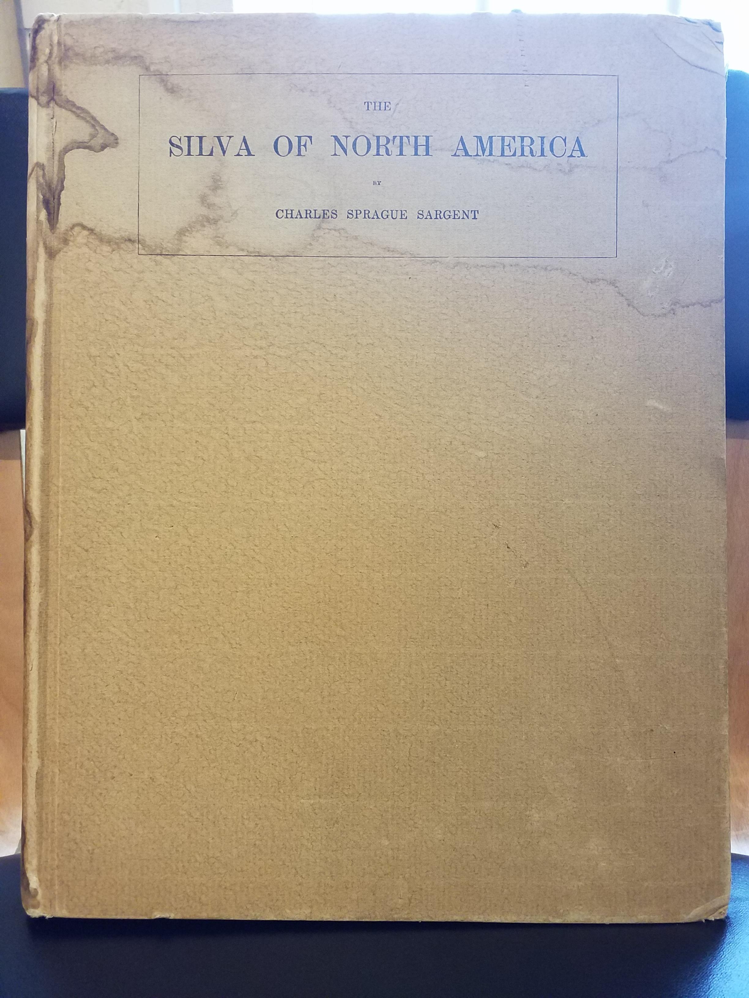 lot-64-sargent-charles-sprague-the-silva-of-north