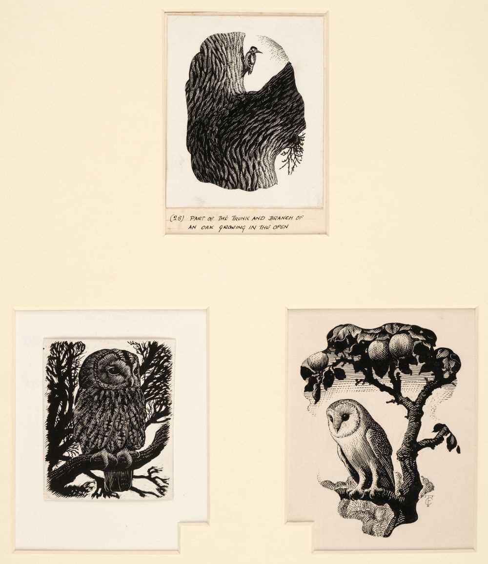 Lot 110 - Tunnicliffe (Charles Frederick, 1901-1979) 3 scraperboard engravings