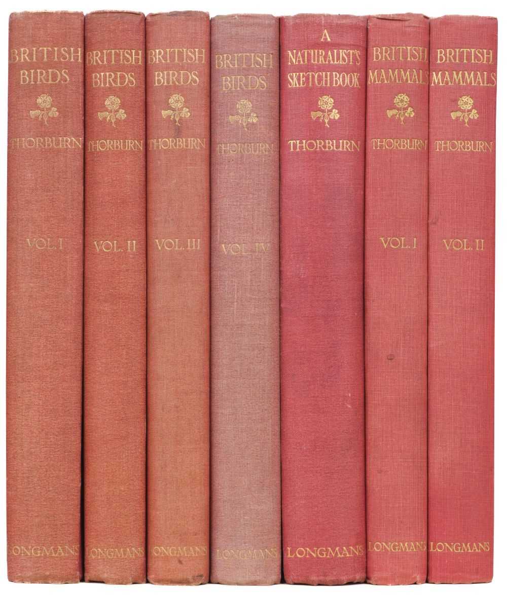 Lot 71 - Thorburn (Archibald). British Birds, 4 volumes, 1915-16