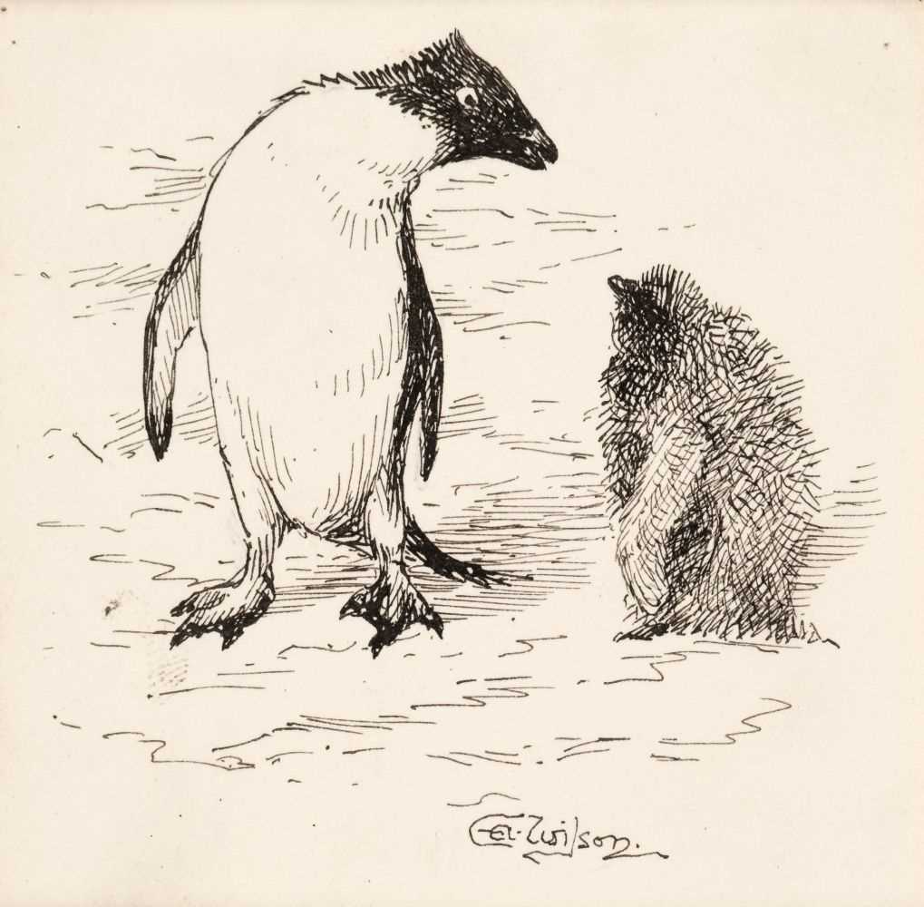 Lot 114 - Wilson (Edward Adrian, 1872-1912). Adelie Penguin and Chick