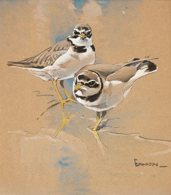 Lot 83 - Ennion (Eric,  1900-1981). Ringed Plovers