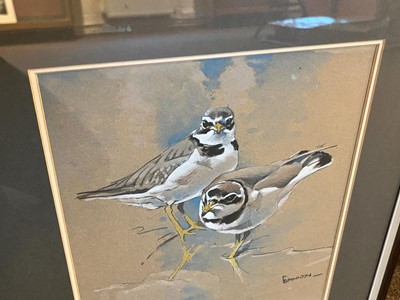 Lot 83 - Ennion (Eric,  1900-1981). Ringed Plovers