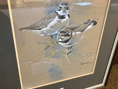 Lot 83 - Ennion (Eric,  1900-1981). Ringed Plovers