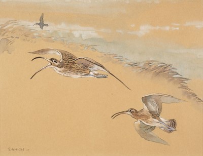 Lot 80 - Ennion (Eric, 1900-1981). Curlews flying
