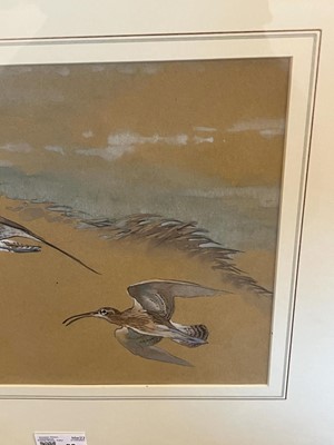 Lot 80 - Ennion (Eric, 1900-1981). Curlews flying