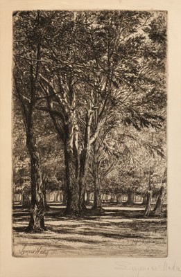 Lot 323 - Haden (Seymour, 1818-1910). Kensington Gardens, 1859