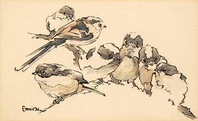 Lot 81 - Ennion (Eric, 1900-1981). Family of Long-Tailed Tits