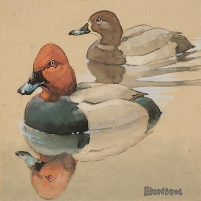 Lot 82 - Ennion (Eric, 1900-1981). Pochard