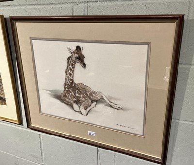 Lot 97 - Thompson (Ralph Shillito, 1913-2009) Young Giraffe