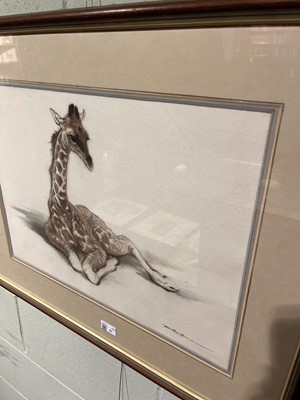 Lot 97 - Thompson (Ralph Shillito, 1913-2009) Young Giraffe