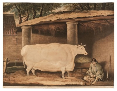 Lot 228 - Ward (William). A Short Horned Heifer, 7 Years Old..., William Robinson, Darlington, 1811