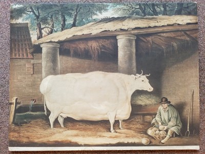 Lot 228 - Ward (William). A Short Horned Heifer, 7 Years Old..., William Robinson, Darlington, 1811