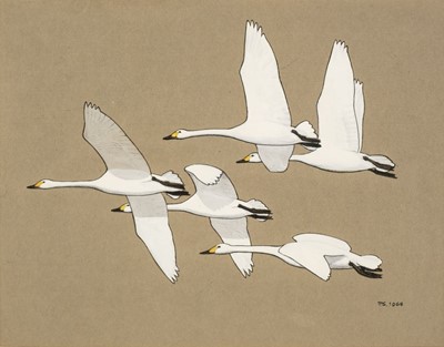 Lot 94 - Scott (Sir Peter Markham,  1909-1989). Bewick's Swans