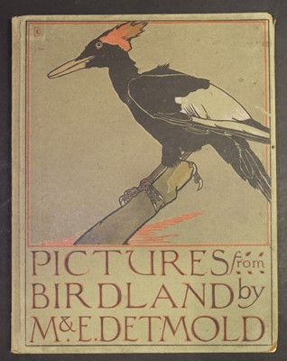 Lot 541 - Detmold (Maurice and Edward). Pictures from Birdland, 1899