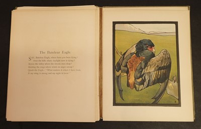 Lot 541 - Detmold (Maurice and Edward). Pictures from Birdland, 1899