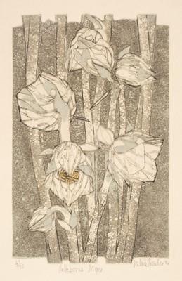 Lot 144 - Thornton (Valerie, 1931-1991). Hellebores Niger, 1981