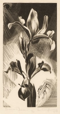 Lot 130 - Hermes (Gertrude, 1901-1983). Spanish Irises