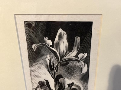 Lot 130 - Hermes (Gertrude, 1901-1983). Spanish Irises