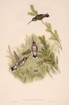 Lot 155 - Gould (John). Three lithographs of Humming Birds [1849 - 61]