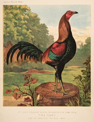 Lot 73 - Wright (Lewis). The Illustrated Book of Poultry, London: Cassell Petter and Galpin, circa 1875