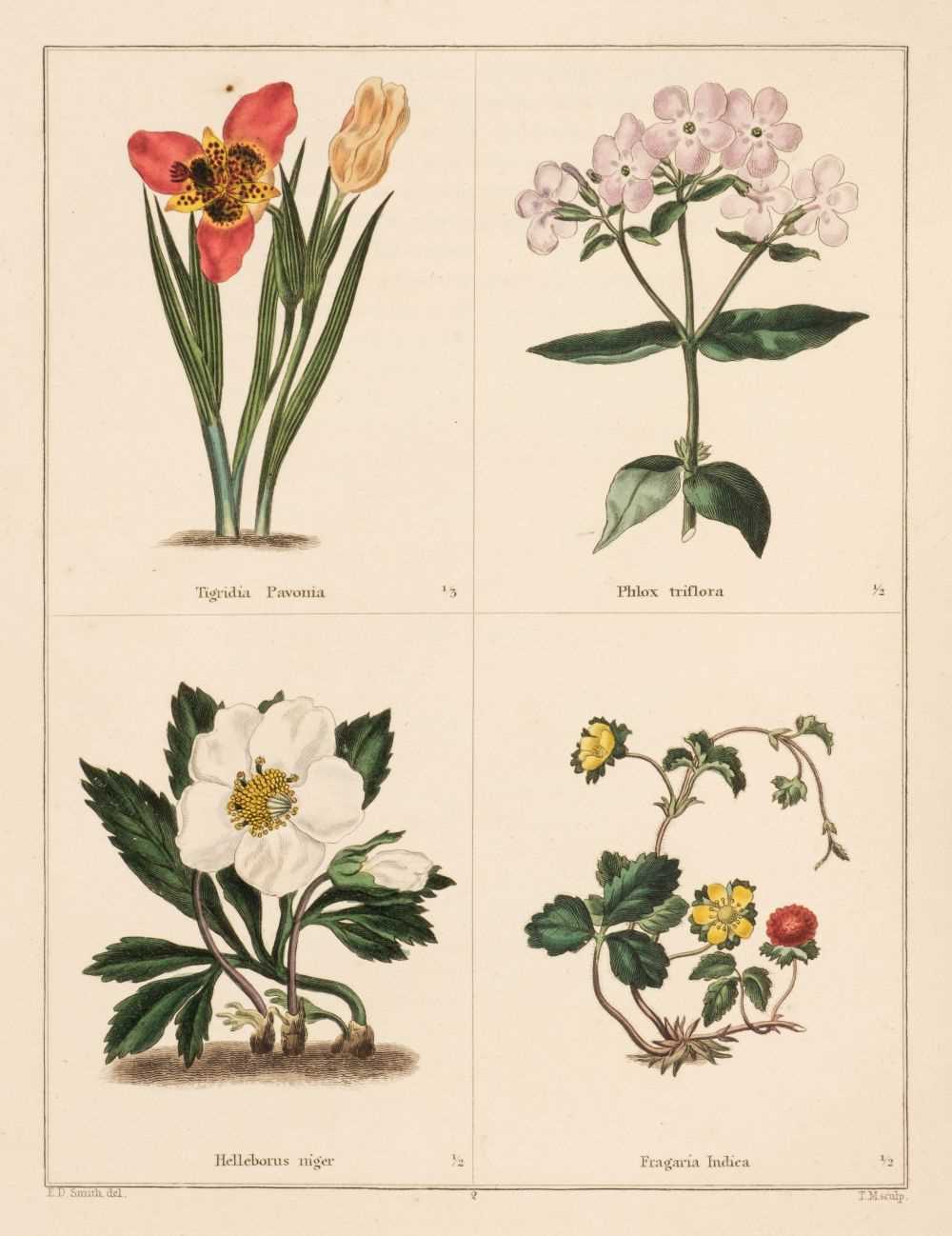 Lot 68 - Maund (Benjamin). The Botanic Garden, vols. 1,