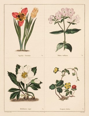 Lot 68 - Maund (Benjamin). The Botanic Garden, vols. 1, 4 & 5, London, 1825-35
