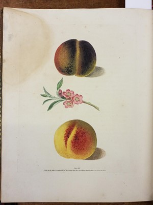 Lot 58 - Brookshaw (George). Pomona Britannica, volume I only, 1817