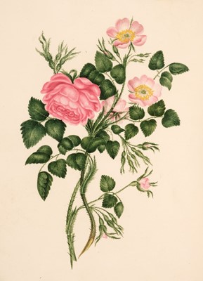 Lot 66 - Langhorne (John). The Fables of Flora, manuscript copy, 1830