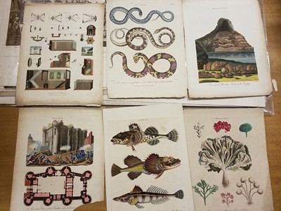 Lot 166 - Prints & Engravings. A collection of approximately 230 prints and maps, mostly 19th century
