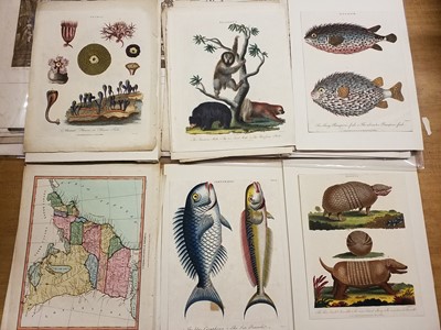 Lot 166 - Prints & Engravings. A collection of approximately 230 prints and maps, mostly 19th century