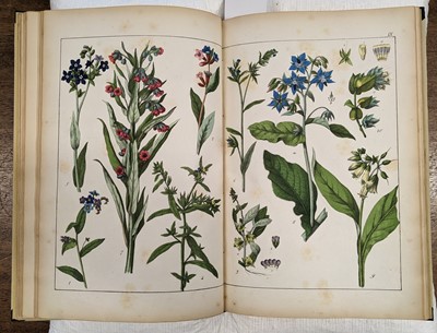 Lot 327 - Schubert (G.H. von). Afbildninger til Planterigets Naturhistorie med oplysende Text, Odense, 1860