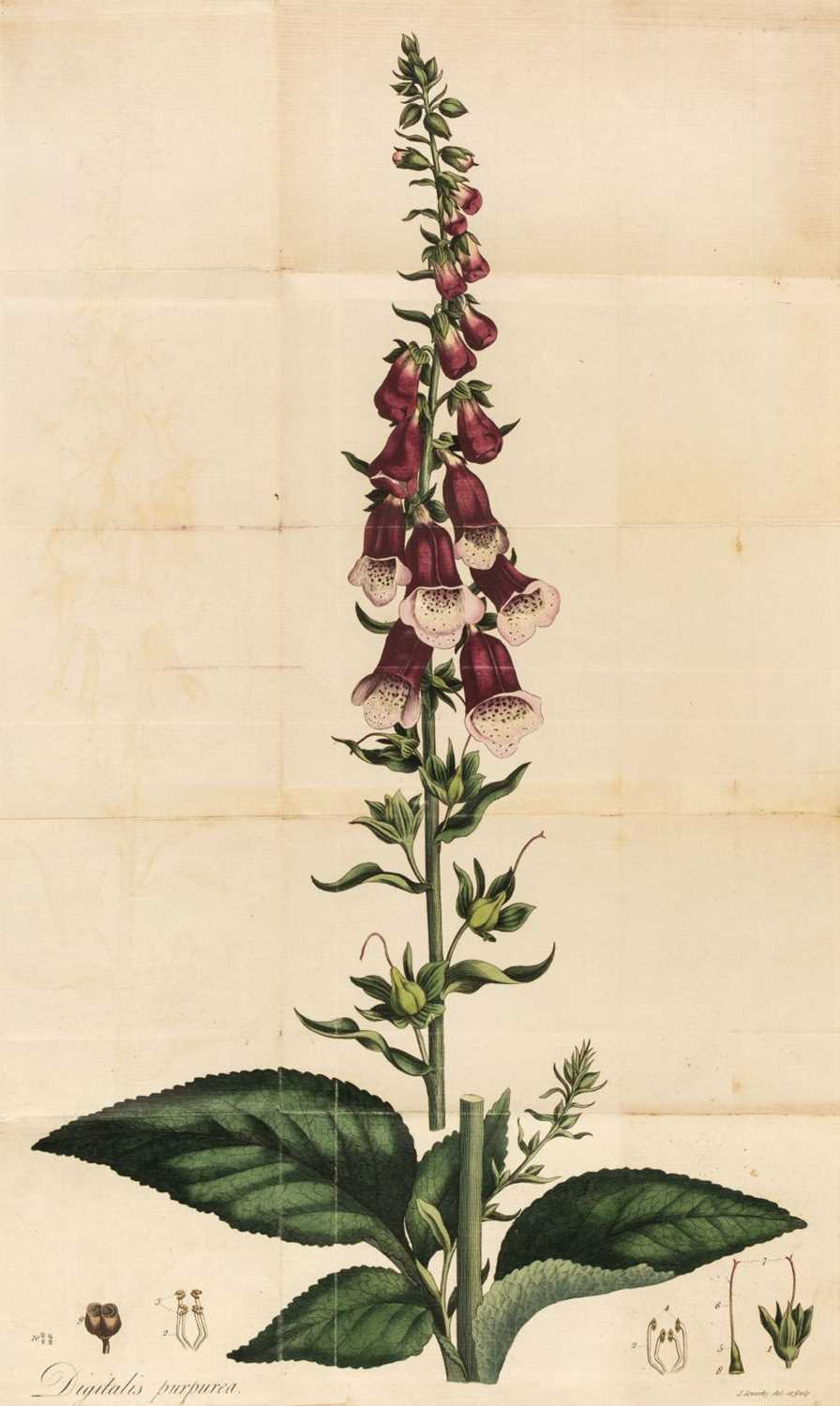 Lot 299 - Withering (William). An Account of the Foxglove, and some of its Medical Uses... , 1785