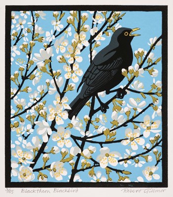 Lot 216 - Gillmor (Robert, 1936-2022). Blackthorn Blackbird