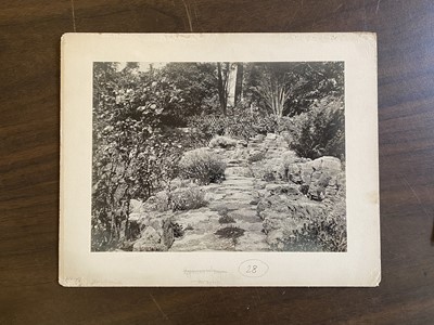 Lot 37 - English Gardens. An archive of 84 whole-plate photographs of English gardens, c. 1940-50
