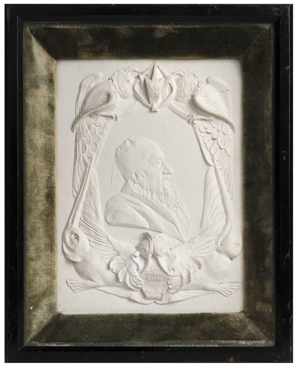 Lot 312 - Owen (Richard, 1804-1892). A plaster relief sculpture by an unidentified artist, 1891