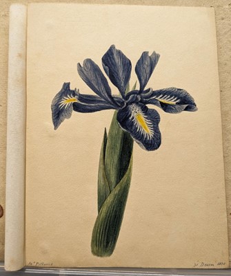 Lot 165 - Petherick (James). Album of miniature watercolour studies, circa 1820-31