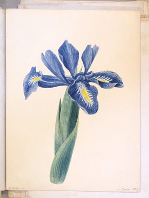 Lot 165 - Petherick (James). Album of miniature watercolour studies, circa 1820-31