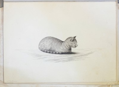 Lot 165 - Petherick (James). Album of miniature watercolour studies, circa 1820-31