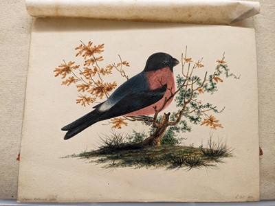 Lot 165 - Petherick (James). Album of miniature watercolour studies, circa 1820-31