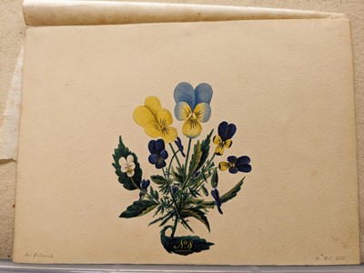 Lot 165 - Petherick (James). Album of miniature watercolour studies, circa 1820-31