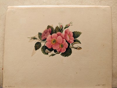 Lot 165 - Petherick (James). Album of miniature watercolour studies, circa 1820-31