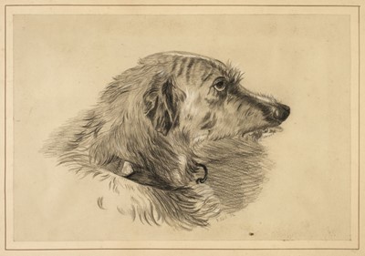 Lot 165 - Dogs. Two Portraits of Dogs, 1892