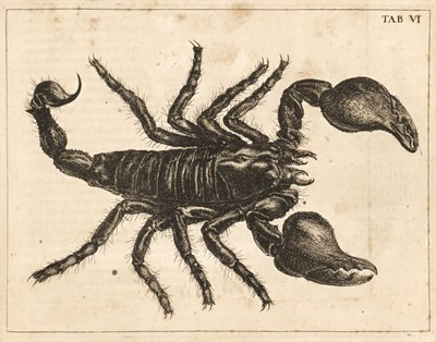 Lot 68 - Swammerdam (Jan). Historia Insectorum Generalis, ofte Algemeene Verhandeling..., 1669